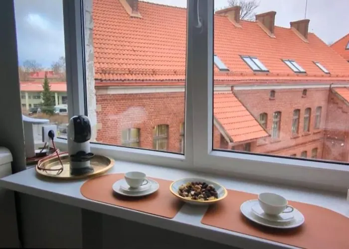 Red Roof Apartment Klaipeda